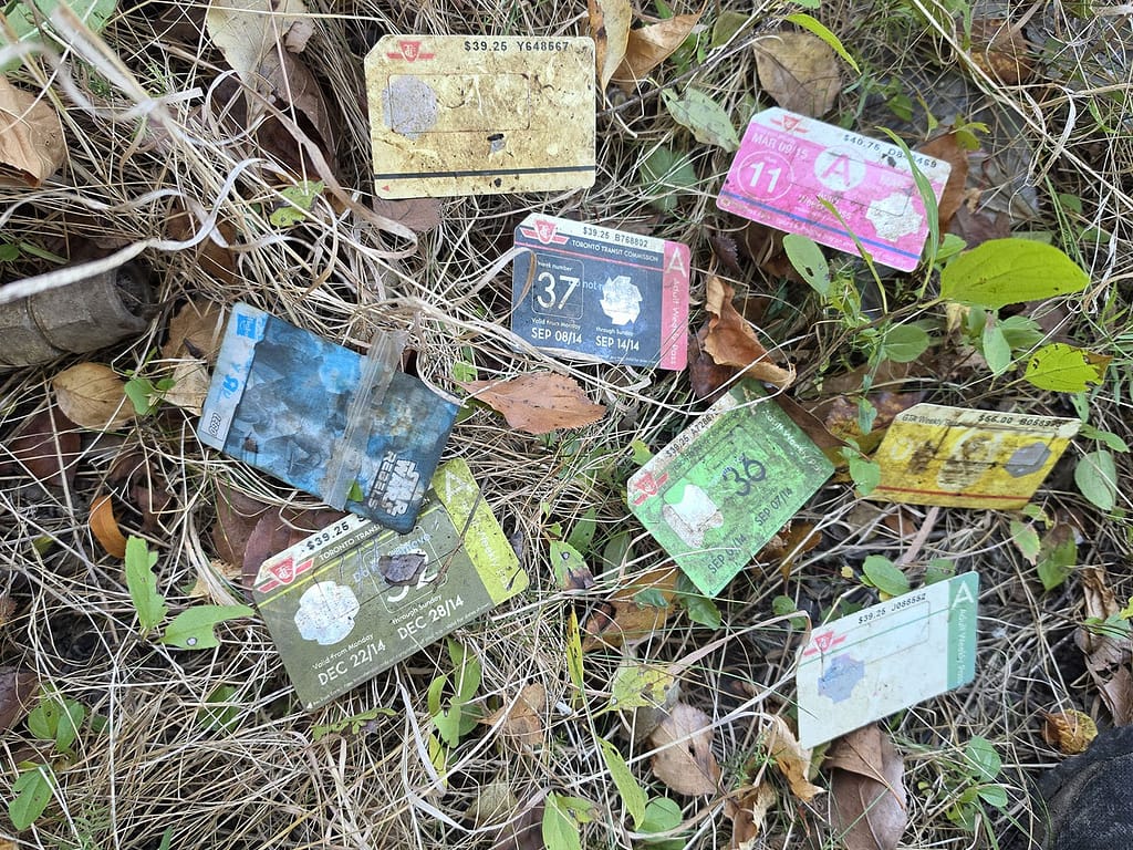 Toronto Plastic Cleanup Report