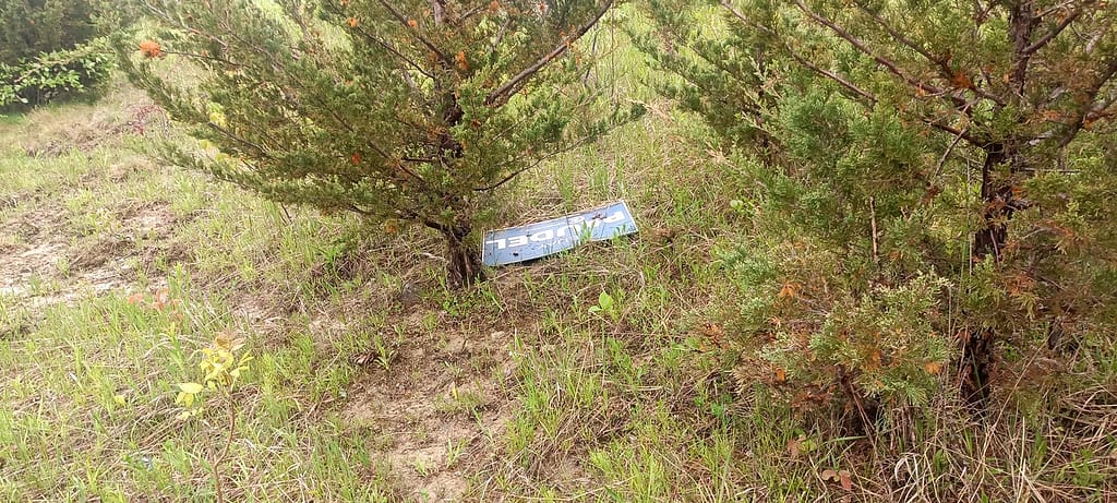 election postal seen in the forest.jpg Election postal seen during May 24: Black Creek parkland forest Cleanup report
