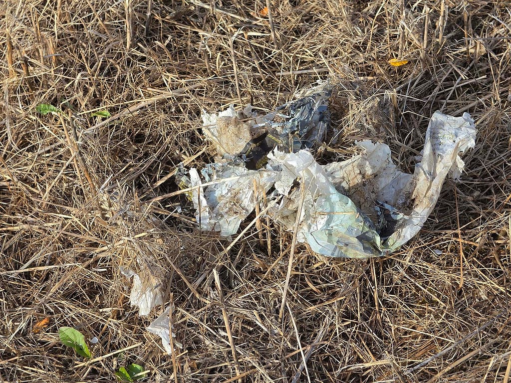 Plastic cleanup report