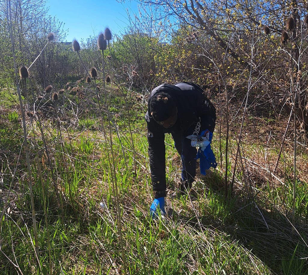 Community members preventing plastic pollution in Toronto