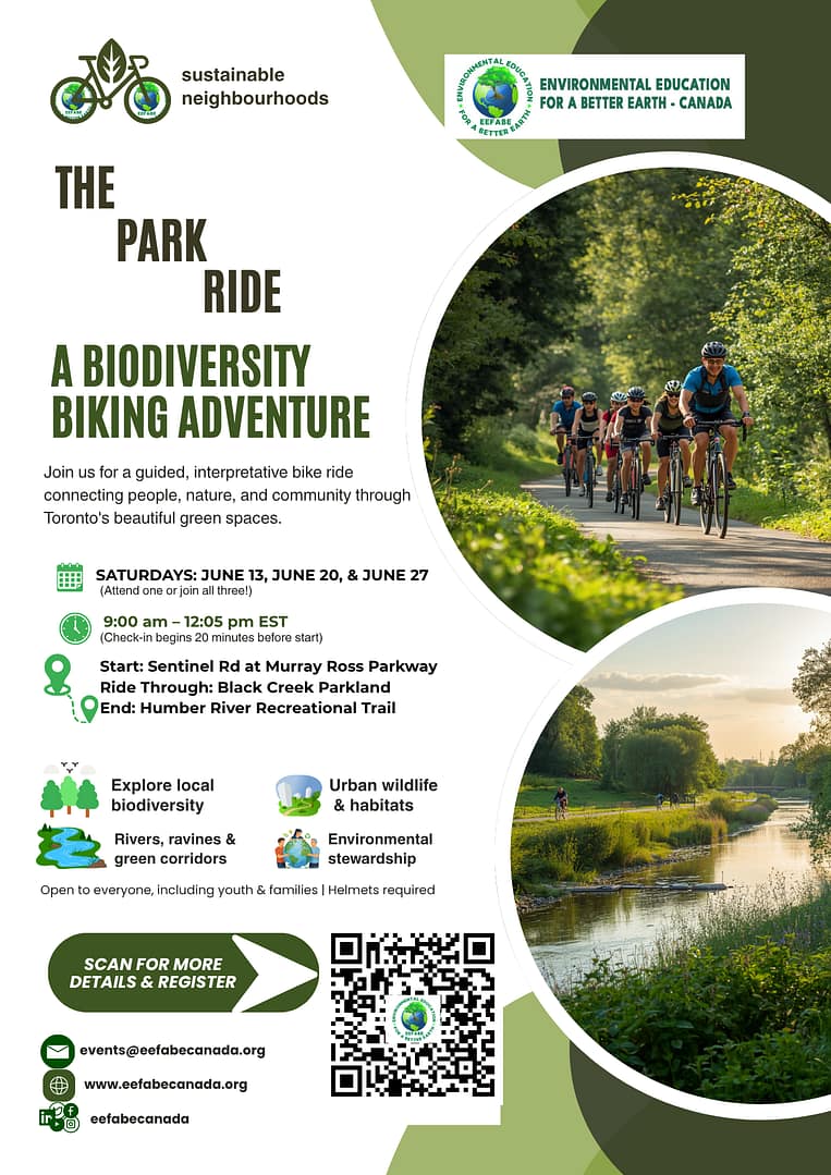 park ride EEFABE Canada Park Ride