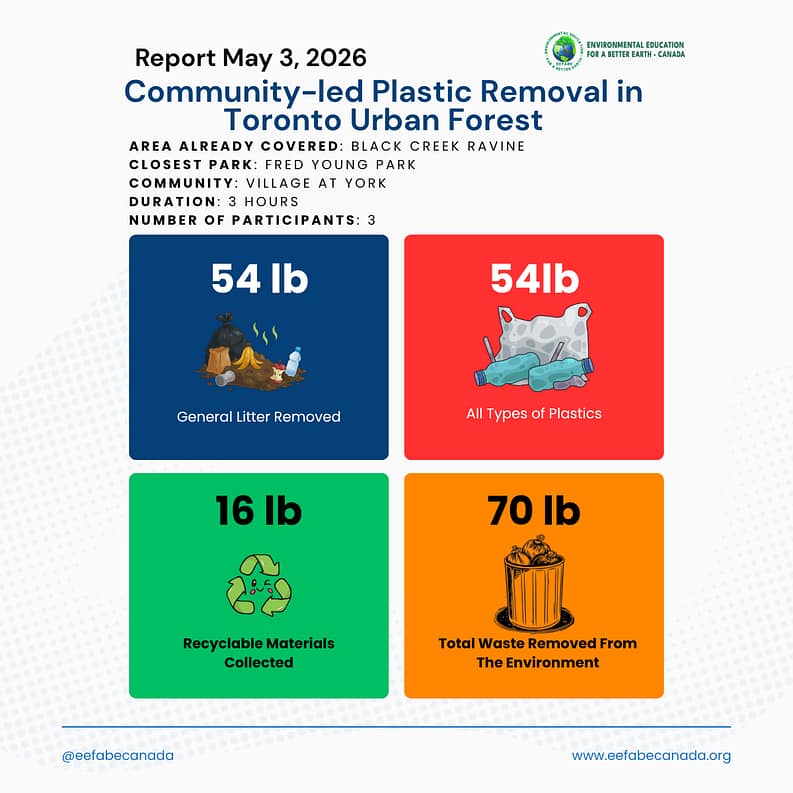 General Litter Removed plastic removal report