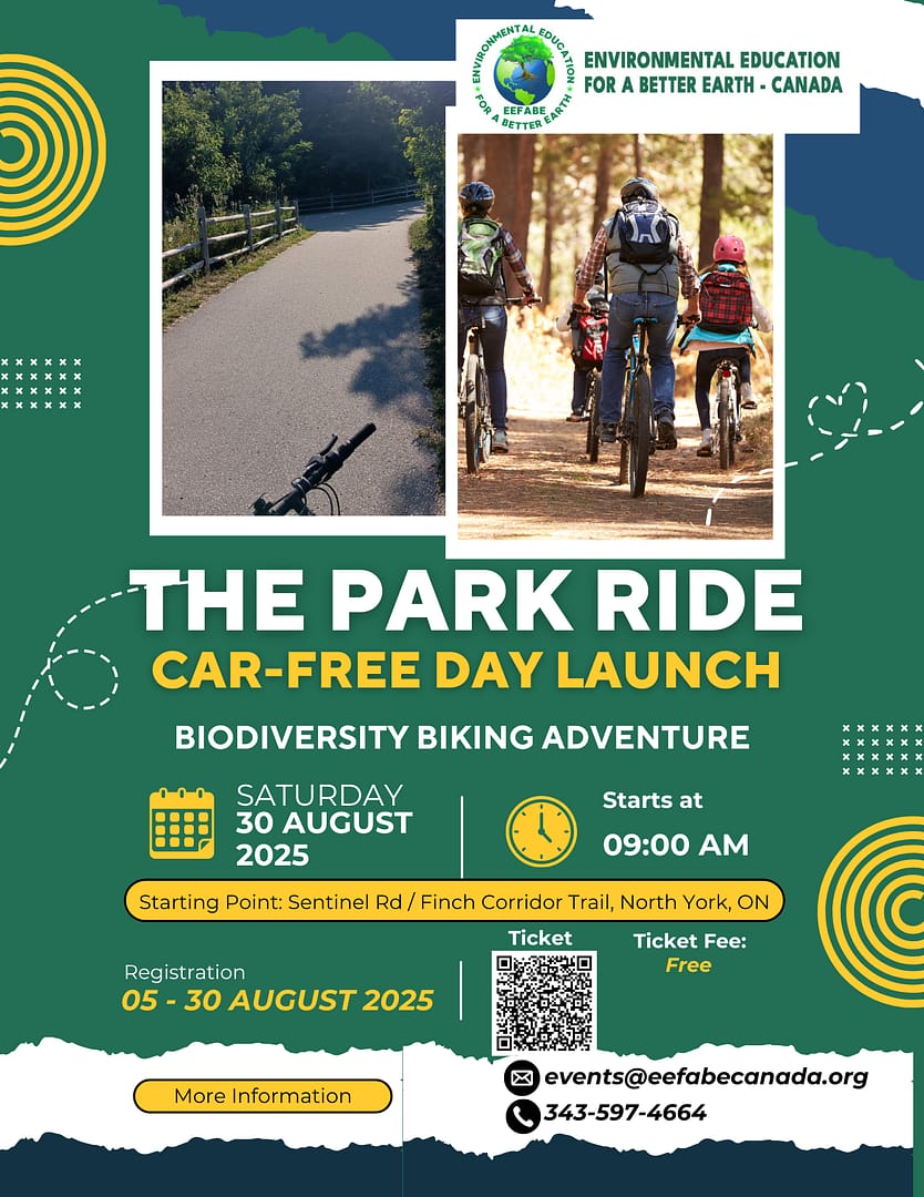 park ride